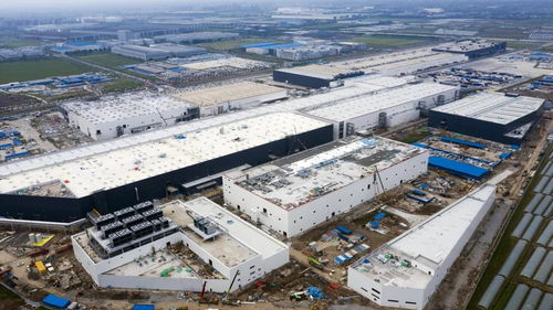 實(shí)探上海特斯拉工廠 Model Y兩個(gè)月后或投產(chǎn)，海維森生物附近迎來求職熱潮