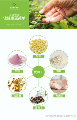 多種維生素礦物質(zhì)顆粒山東恒佳生物